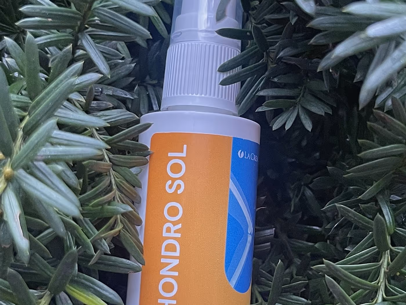 Flacon de spray Hondro Sol posé parmi des rameaux de cyprès